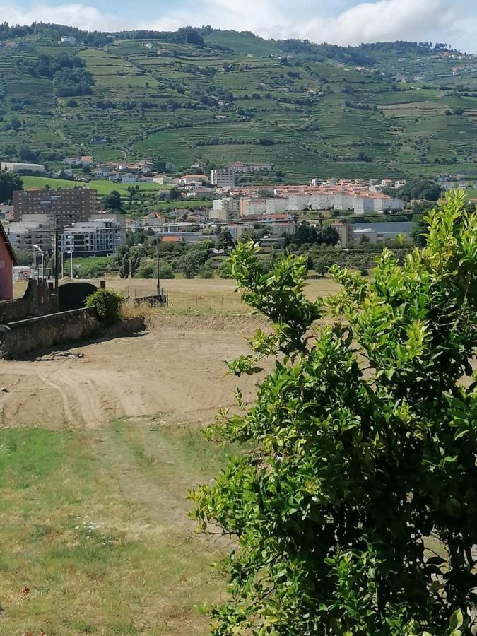 Vivenda Oliveira - Alojamento Local Lamego Εξωτερικό φωτογραφία