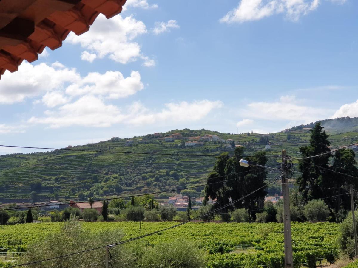 Vivenda Oliveira - Alojamento Local Lamego Εξωτερικό φωτογραφία